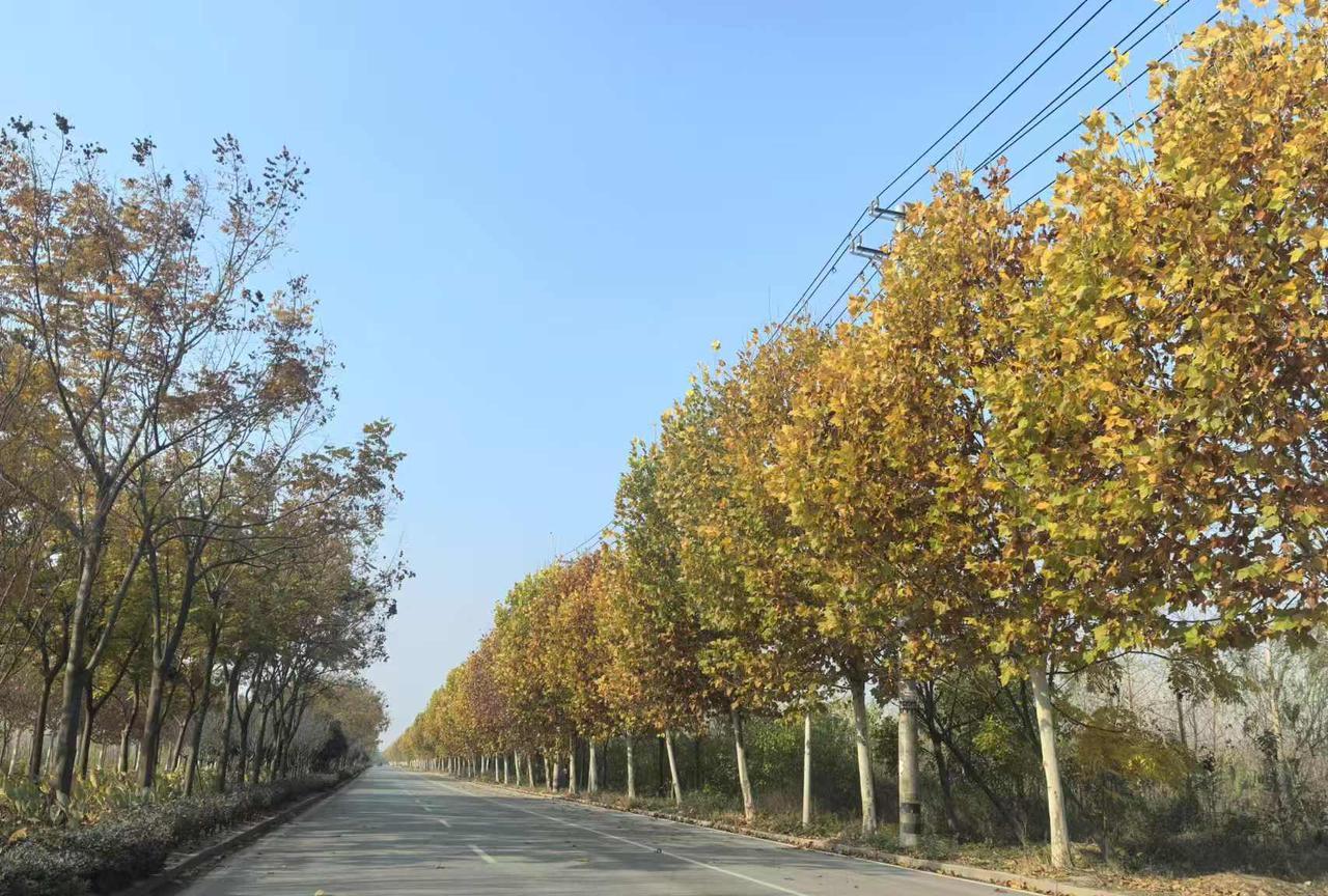 爷爷说，狠狠记住的“老人言”：1.一根葱，十分钟。2.女人屁股大，好生养。