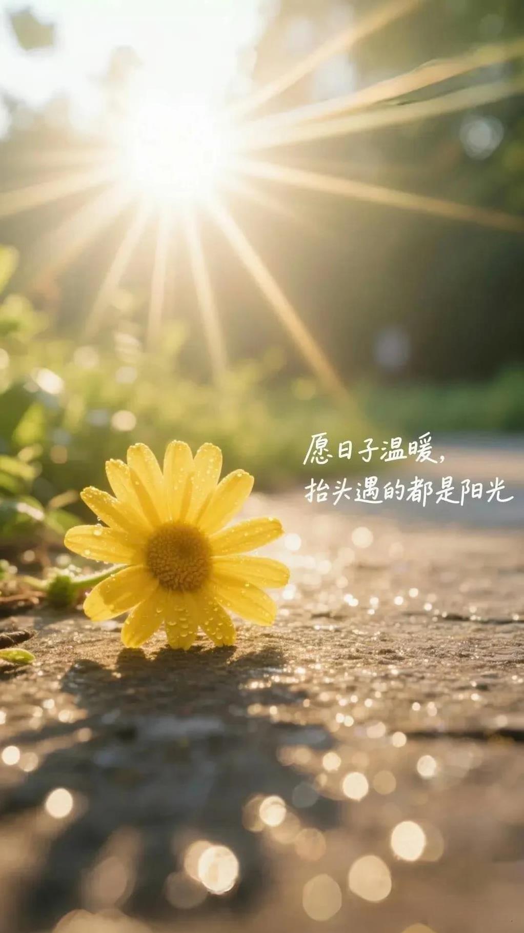 近期工作上会有新突破。单身狮子一改张扬，在社交场合谦虚低调，惹的很多人惊奇不已