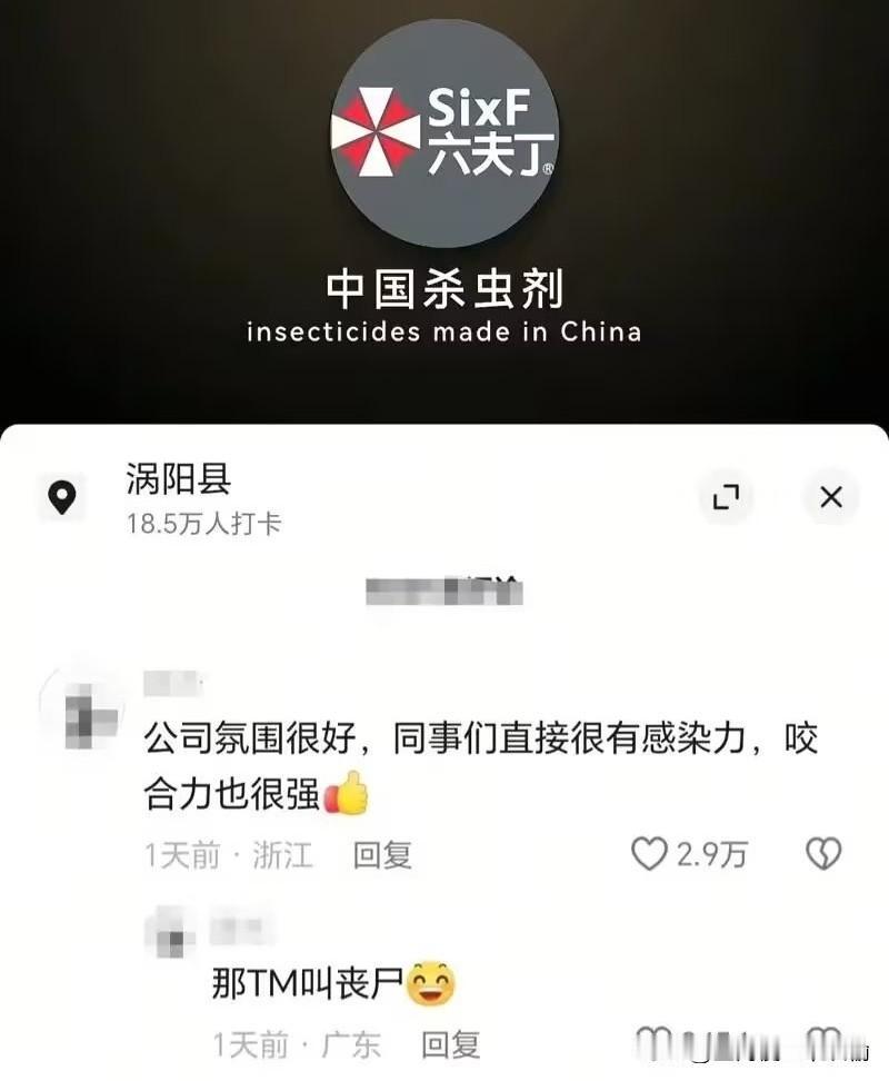 当老板让我开始宣传公司