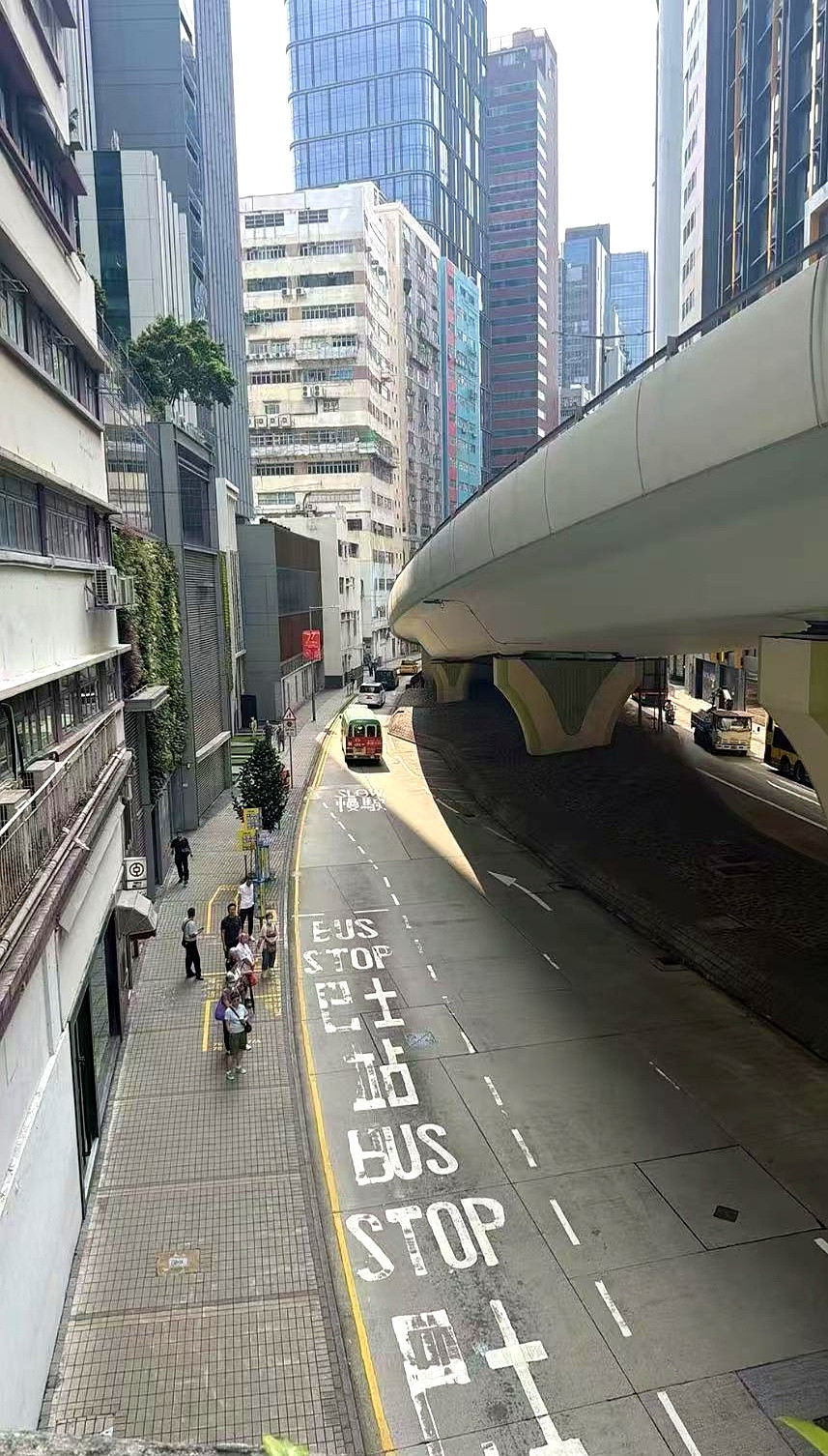 公司里那个拿着香港身份证的内地高管怀孕时，大家都以为她会在维港边定个顶级私立医院