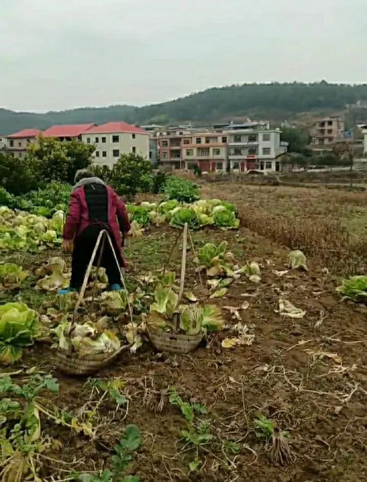 真实的农村现状，热闹几天，冷清一年年初五一过，村子里几乎就见不到年轻人了，能