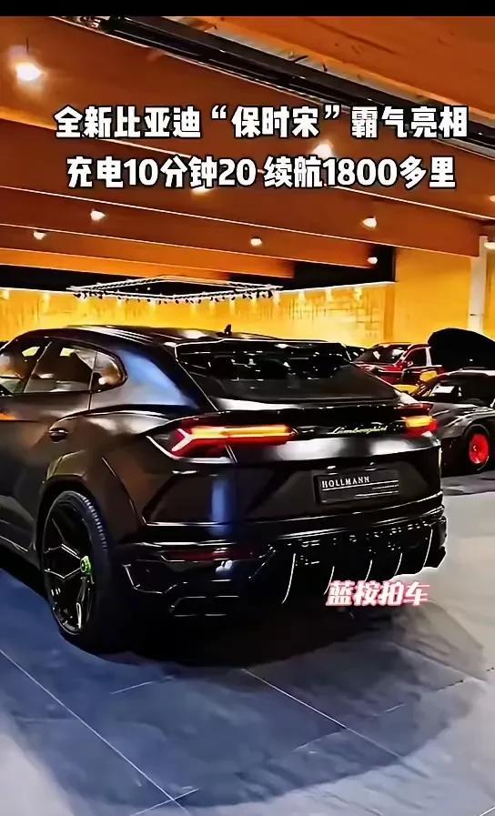 新宋又是爆款，这造型应该会比现款销量还要高。