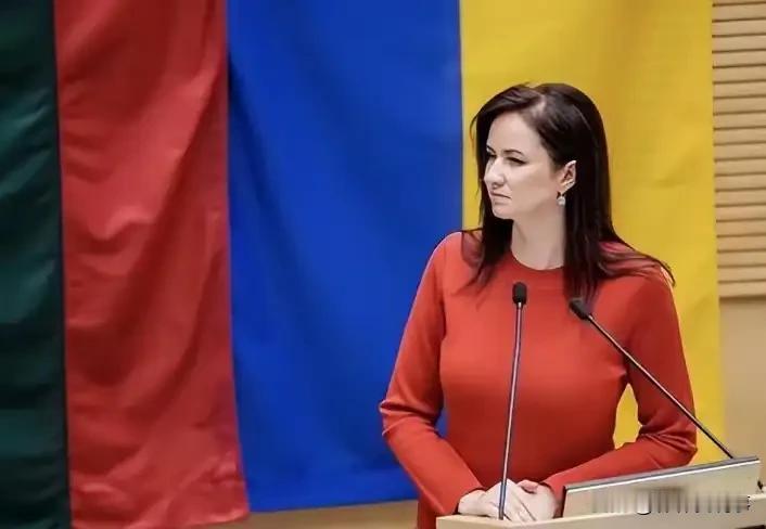 大错特错，立陶宛认怂吗？很多人都说，立陶宛一个300万左右人口国家，居然敢对