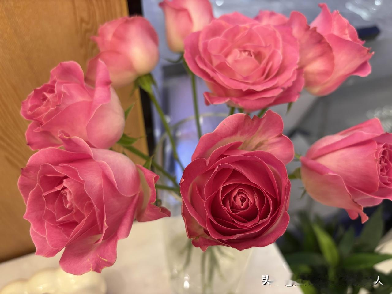 专家说分房睡没关系？​呸！我跟我家那口子同床共枕二十年，用亲身经历告诉你：床是