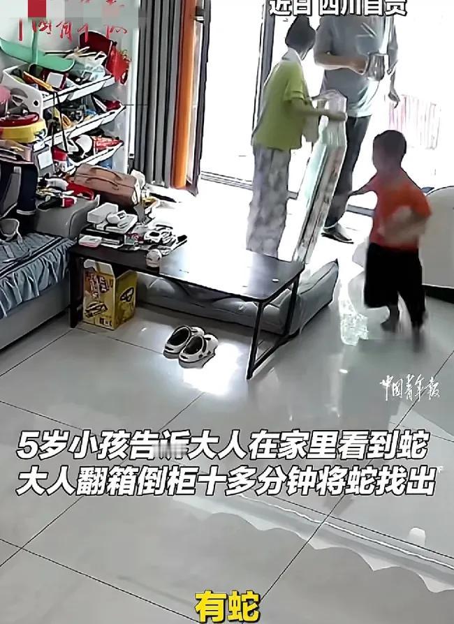 不速之客！四川自贡一个5岁小孩告诉大人在家里面看到了一条蛇大人一开始笑“娃