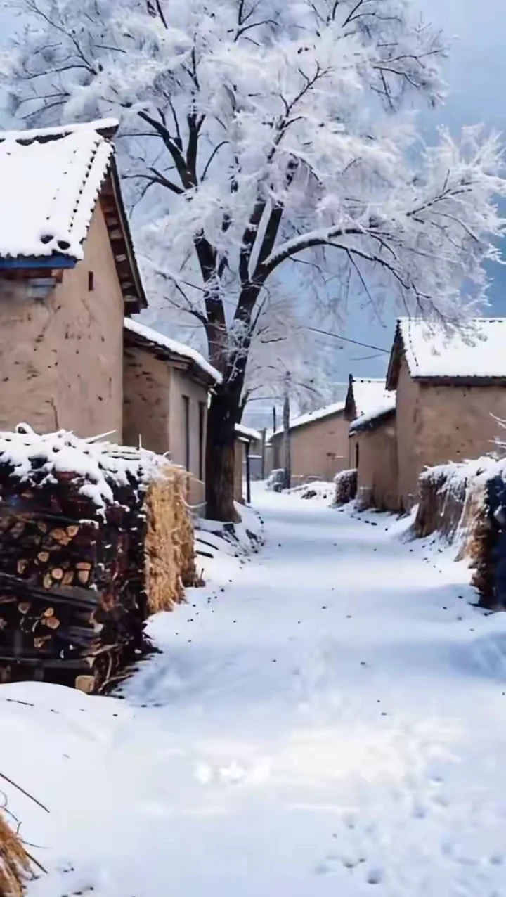 很多人不理解，为什么一个人在各个方面都优秀到天花板级别的人还会自卑。这就像一个欲