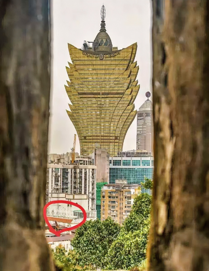 羡慕！澳门的躺平式生活