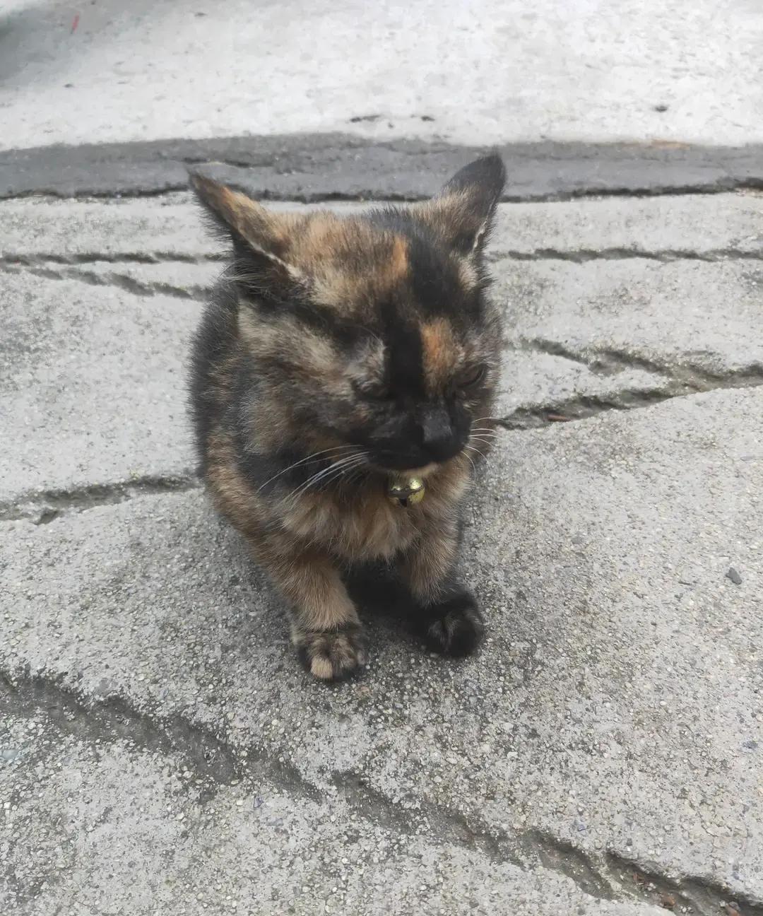 很多舅妈和婶婶心寒，不是小气，是发现自己始终是个“外人”。2023年家庭发