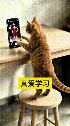 这只小橘猫也太有意思啦，站在凳子上盯着手机里跳舞的小姐姐，跟着节奏一下一下扭身子