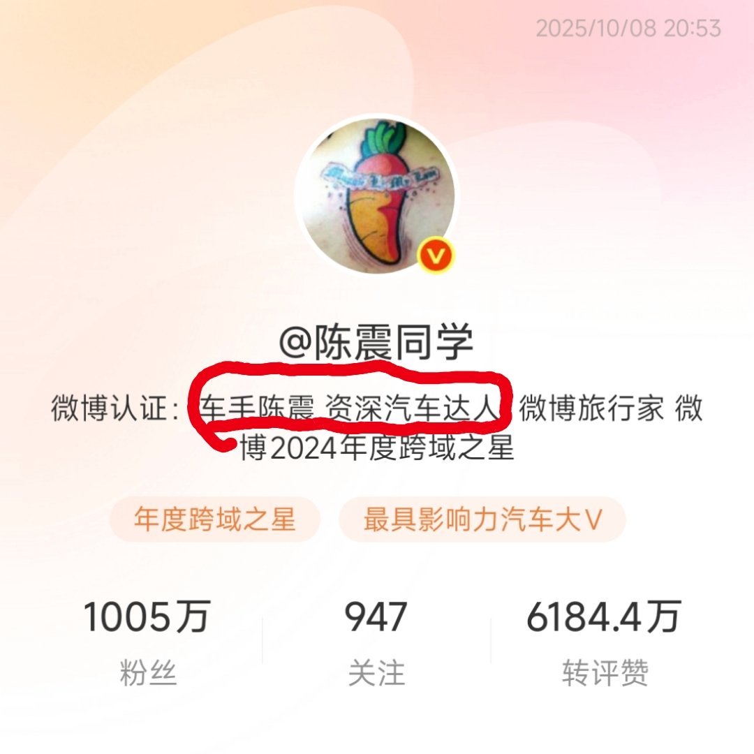 陈震在汽车媒体界是有历史贡献的，激情说车其实做的还不错，所以扳倒陈震几乎不可能，