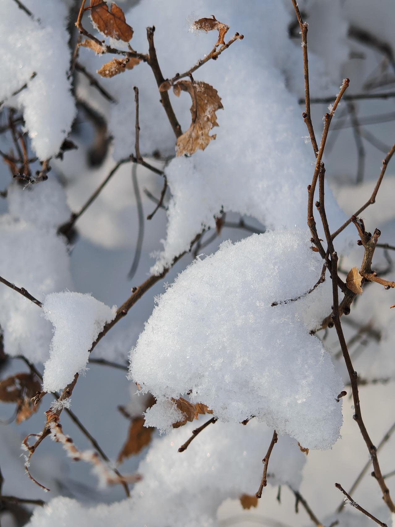 与痛风斗争的历程111早上一睁眼，天朗气清的，浑身关节都还算舒坦，没