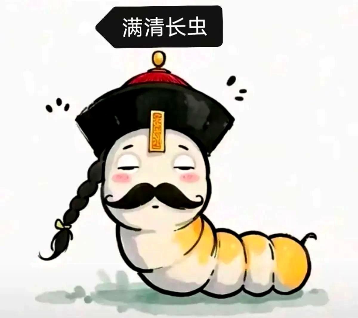 满清是唯一一个被全世界都鄙视、讨厌、憎恶的中国朝代。朝鲜、越南私底下都称满清为