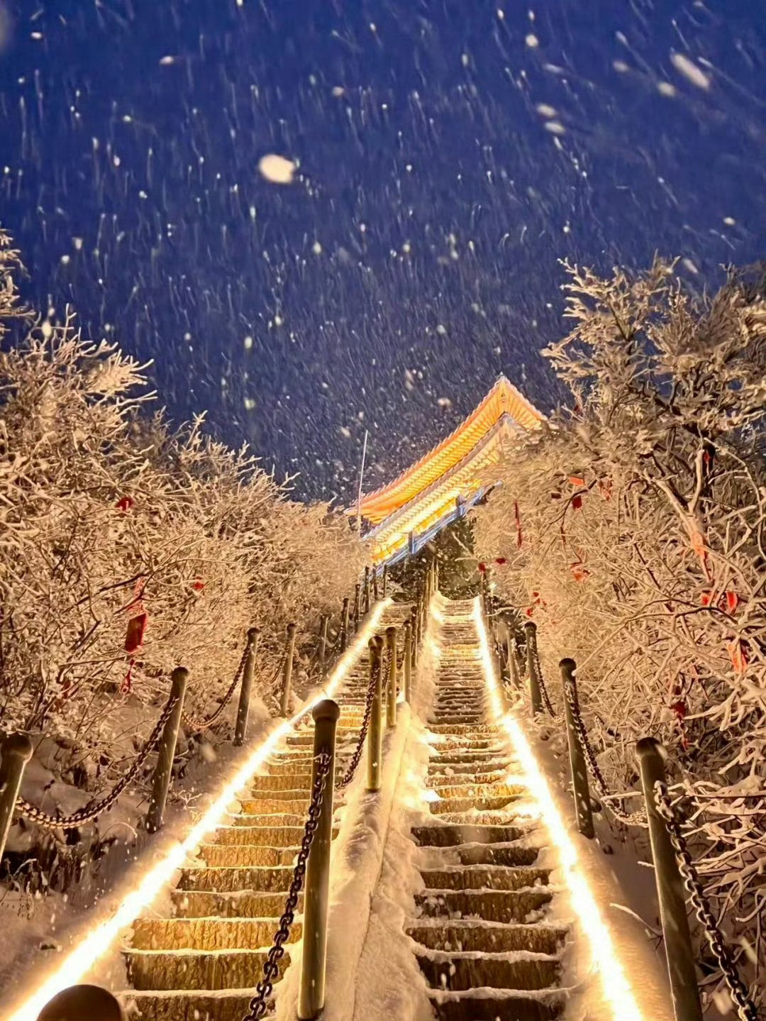 老君山的雪景好美啊