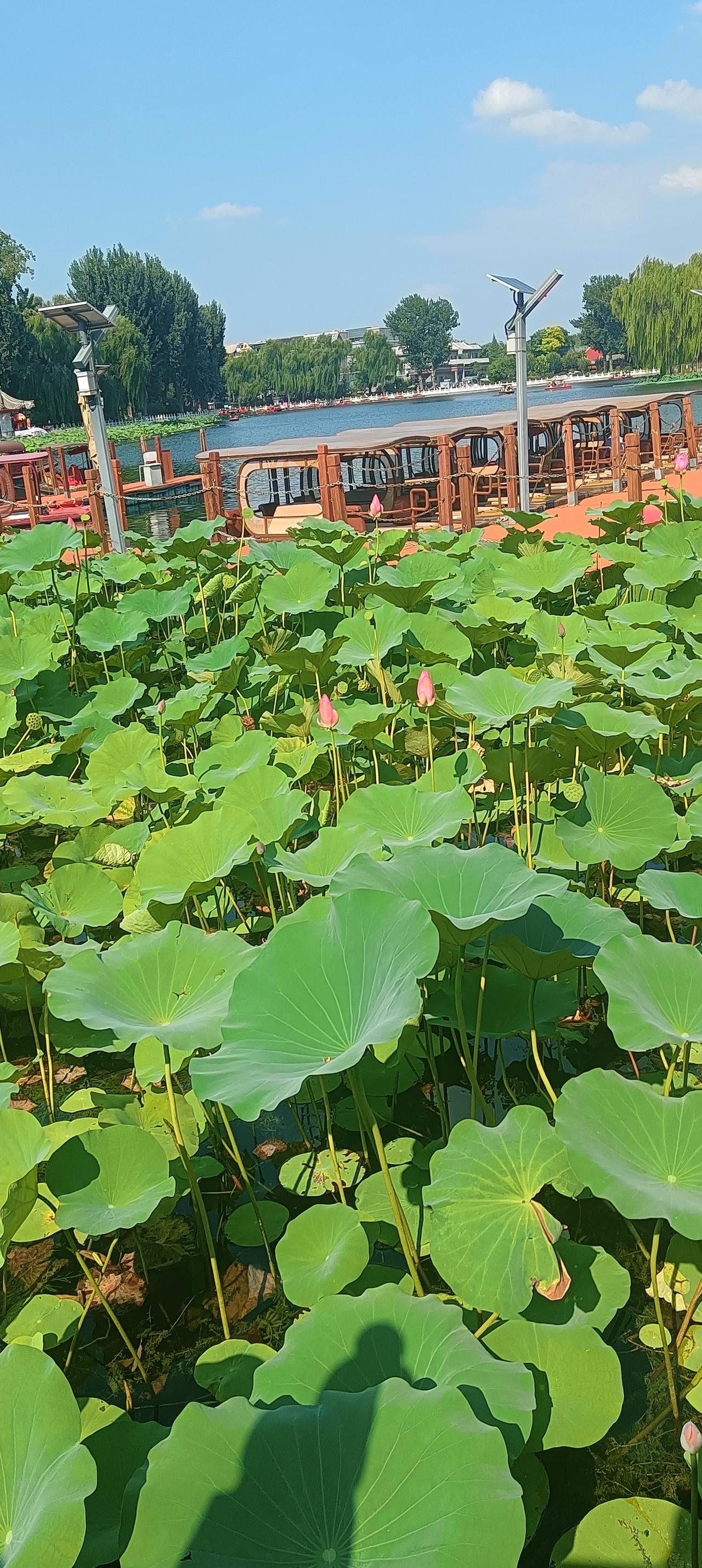我兜里有钱，但我不花，我就自个煮碗面吃---这是生活智慧，也是对未来的敬畏。我