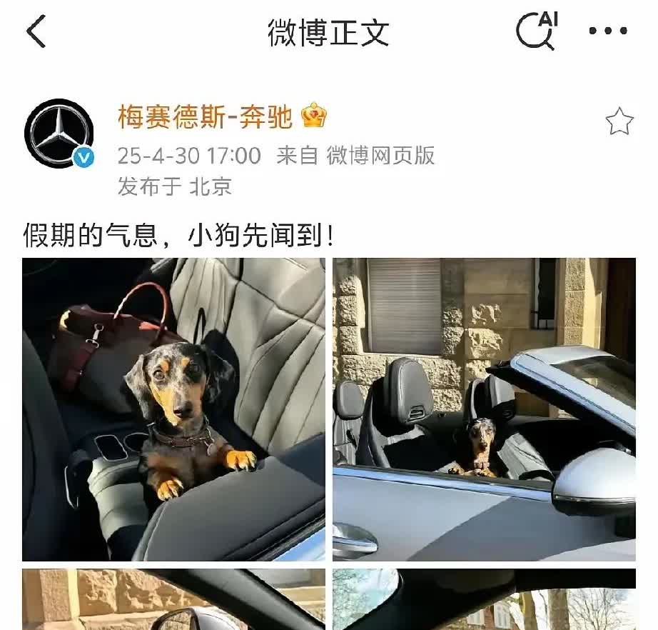 奔驰也好，莲花跑车也好，同样是在彰显自己。怎么觉得，奔驰就有点下作了呢？[震