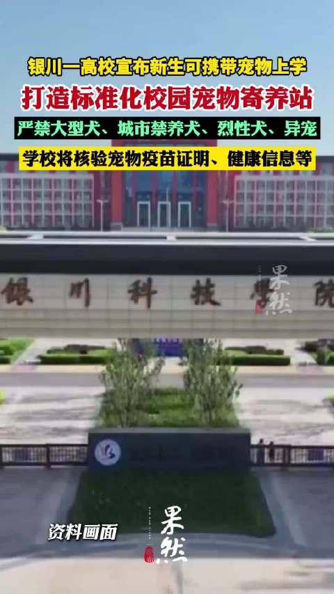 说白了，这就是一笔生意。8月23日，银川某民办高校发布消息：允许学生携带宠物