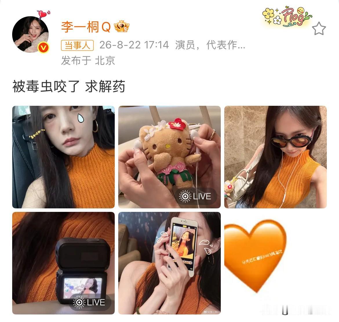 8月22日，李一桐被毒虫咬了，求解药不看不知道，一看吓一跳，半张脸都肿了，什么
