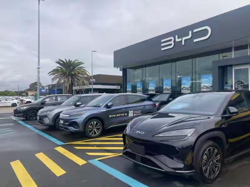 你敢信吗？澳大利亚人现在抢中国新能源电车，就像抢特价大白菜一样疯狂！当地油价一路