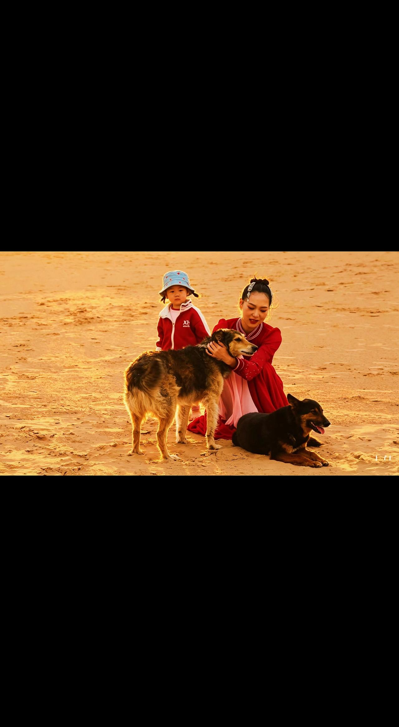人犬温馨画面