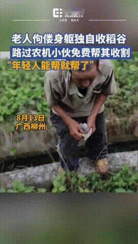 “难怪人家能赚到钱！”广西柳州，一小伙驾驶农机工作时，看到了一老人正佝偻着收稻谷