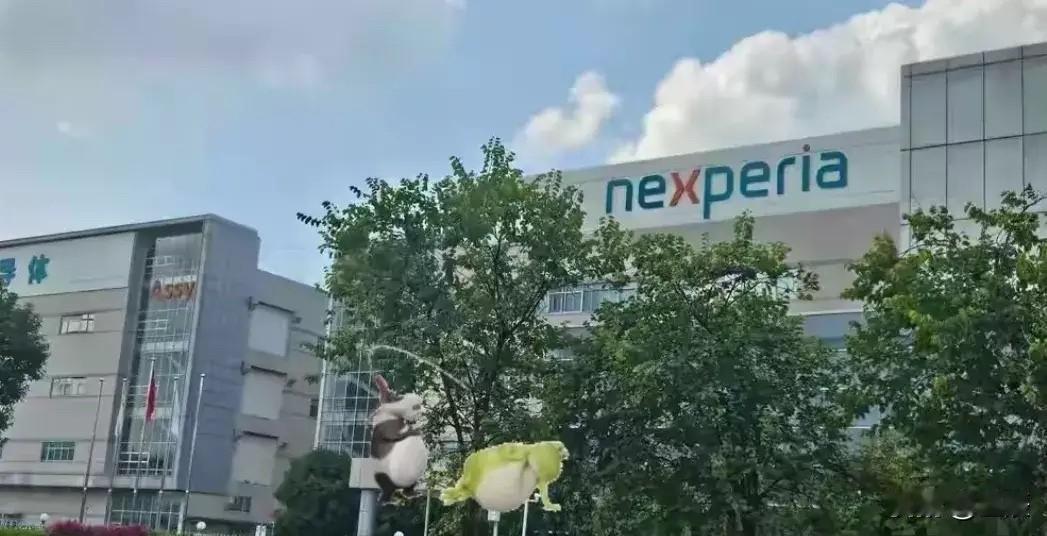 准备出手修理荷兰了​商务部今天在回答记者的问题时，对荷兰政府发出了明确警告:荷