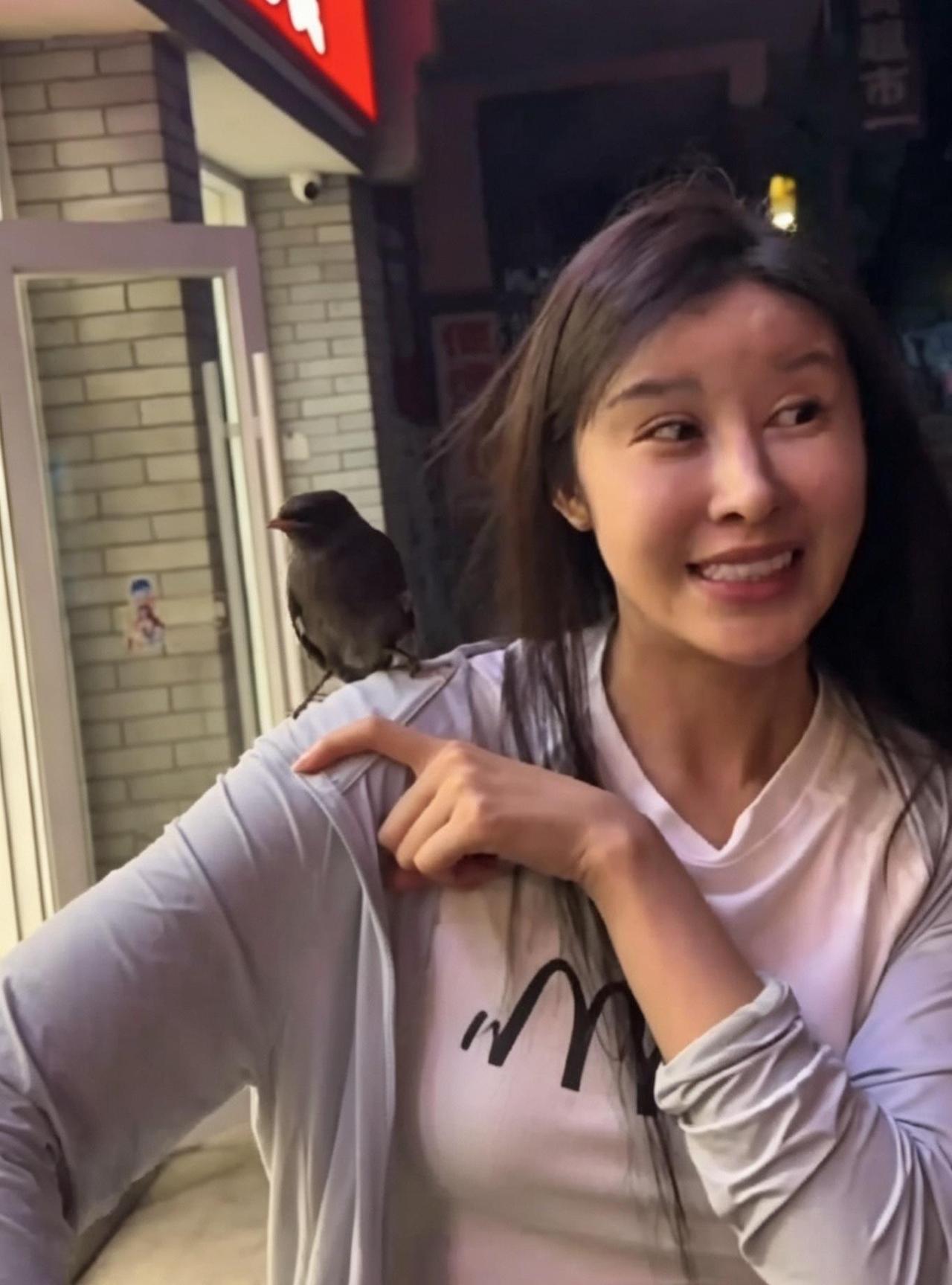 江西修水县一女子和朋友在外面吃饭，一只鸟突然飞到桌上落在她身上不肯走，仿佛认准了