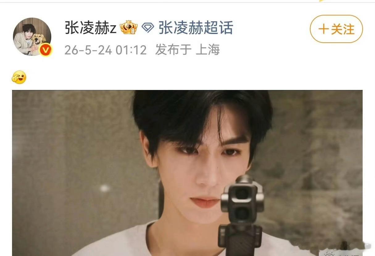 🐮🐮大半夜也不睡觉，还挺