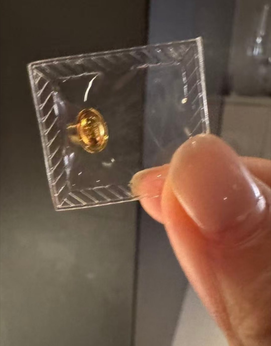 伊能静庆祝58岁生日，连小学生都知道金子好了，米粒攒钱给伊能静买了生日礼物，一粒