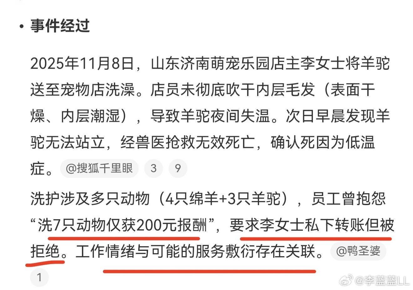 羊驼送洗后因毛发未吹干致失温死亡这羊驼也太可怜了！明明是送去护理，结果活活冻没