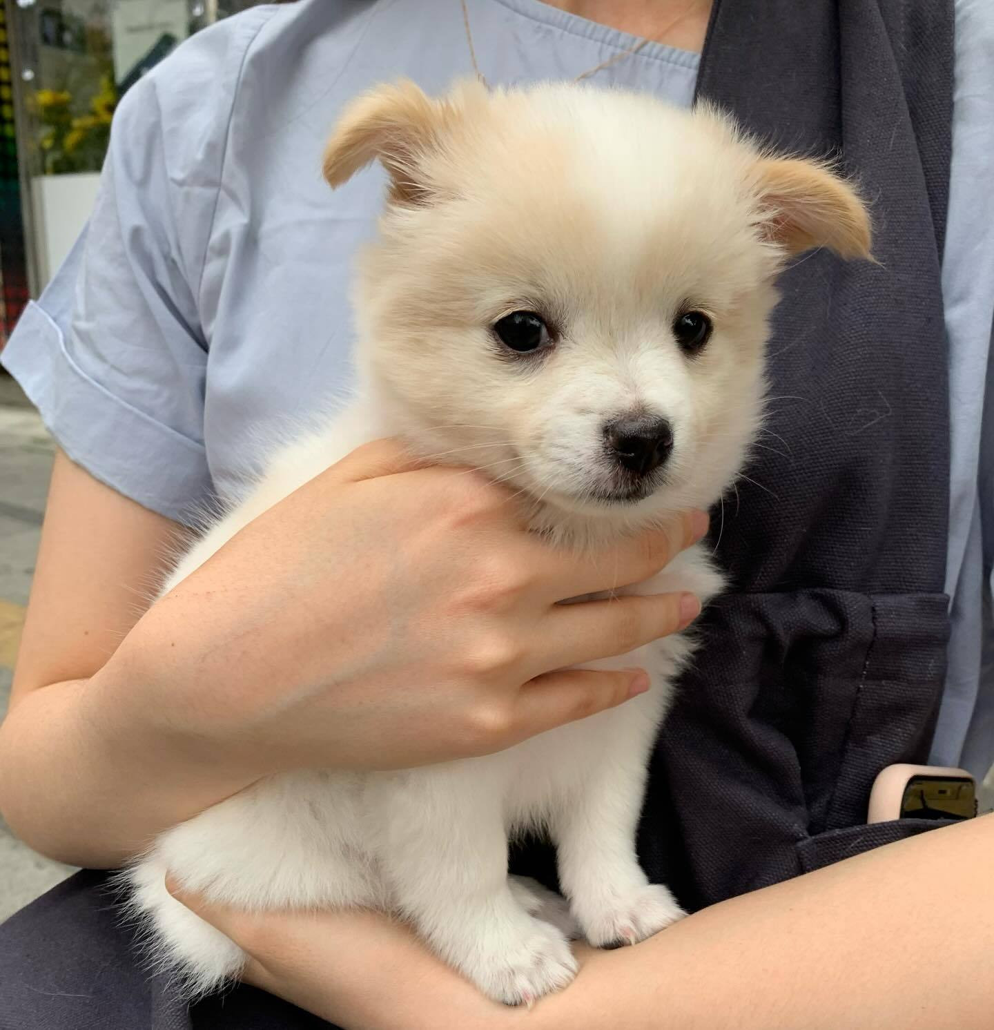 麻麻抱紧我，她手上有个漂亮的大麻袋