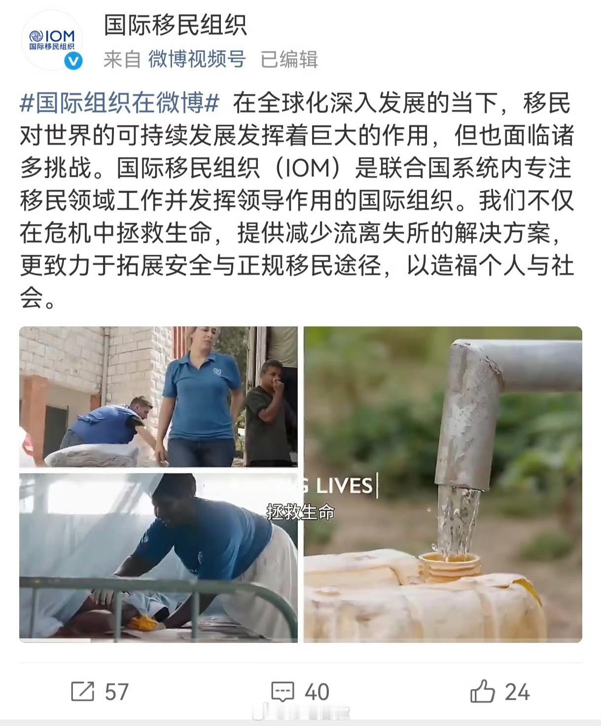 他们知道国际移民组织是干嘛的么，上来就喊人家“爸爸”，实在是太丢人⭐对于这些人，