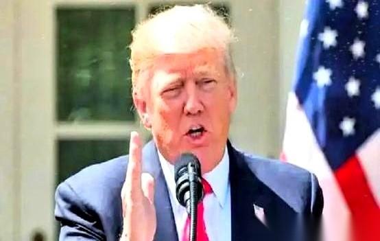 巴西大豆，老美眼睁睁看着自己的份额从天上掉到地下，只剩4.2%。一瞬间，好像所