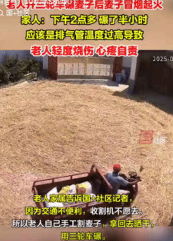 “弄巧成拙了！”陕西汉中，一老人将手工收割的麦子在院子里摊开晾晒，后骑着三轮车碾