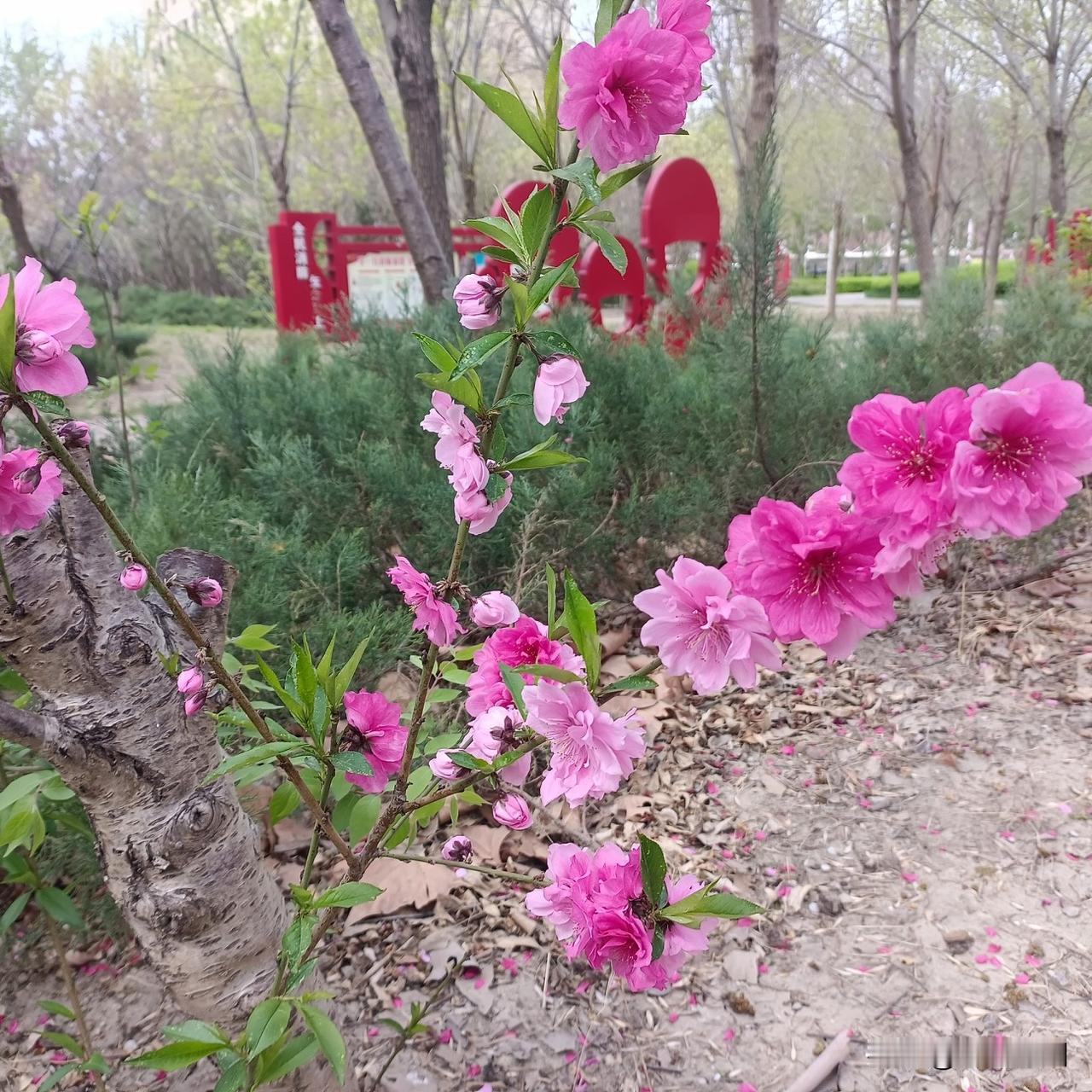 不是你的颜值，不是你的财富，而是你给的：安全感、归属感、和独一无二的偏爱。