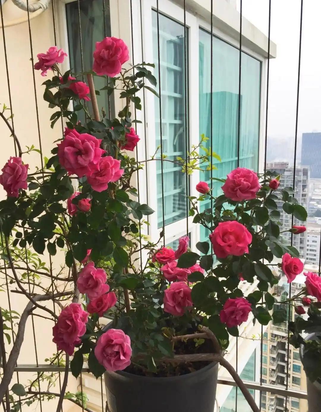 我老婆的爱好就是存钱，不停的存钱！去年我公司裁员，我恰好在名单里。那段时间每天躲