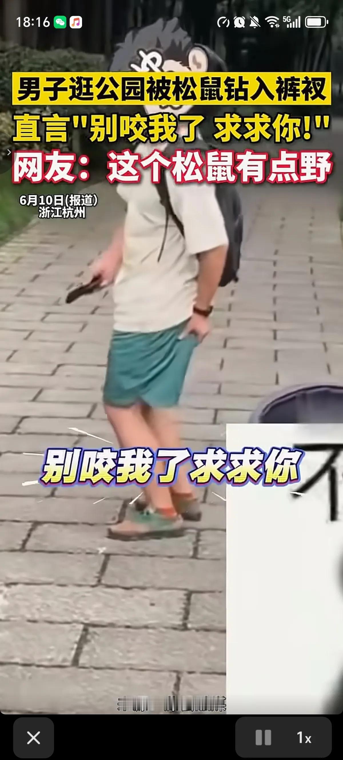 就没见过这么惨的，浙江杭州一个男子跑去逛公园，结果一只松鼠钻进他短裤里咬他屁股了