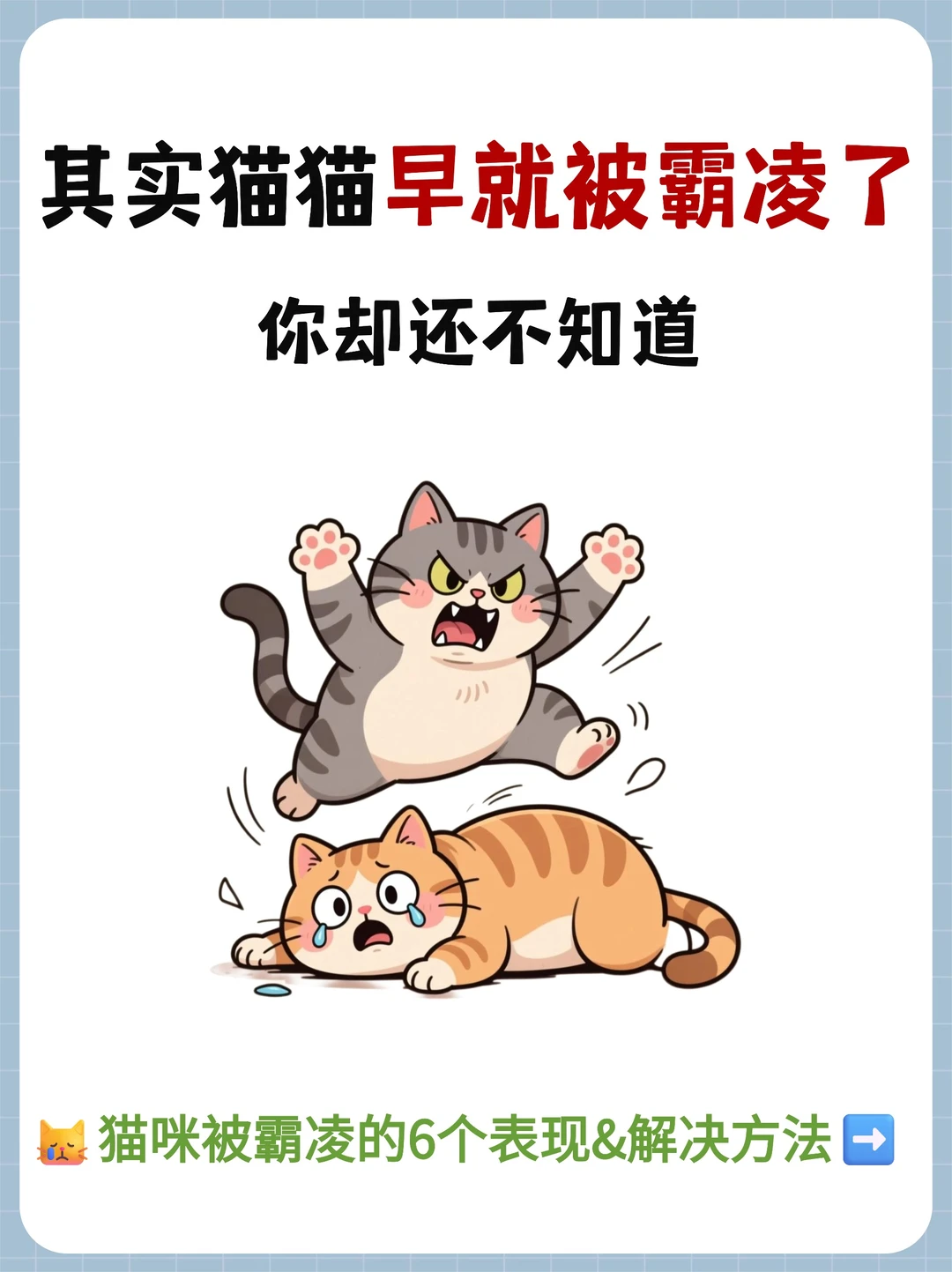 猫咪早被霸凌了❗️多猫家庭必看😿