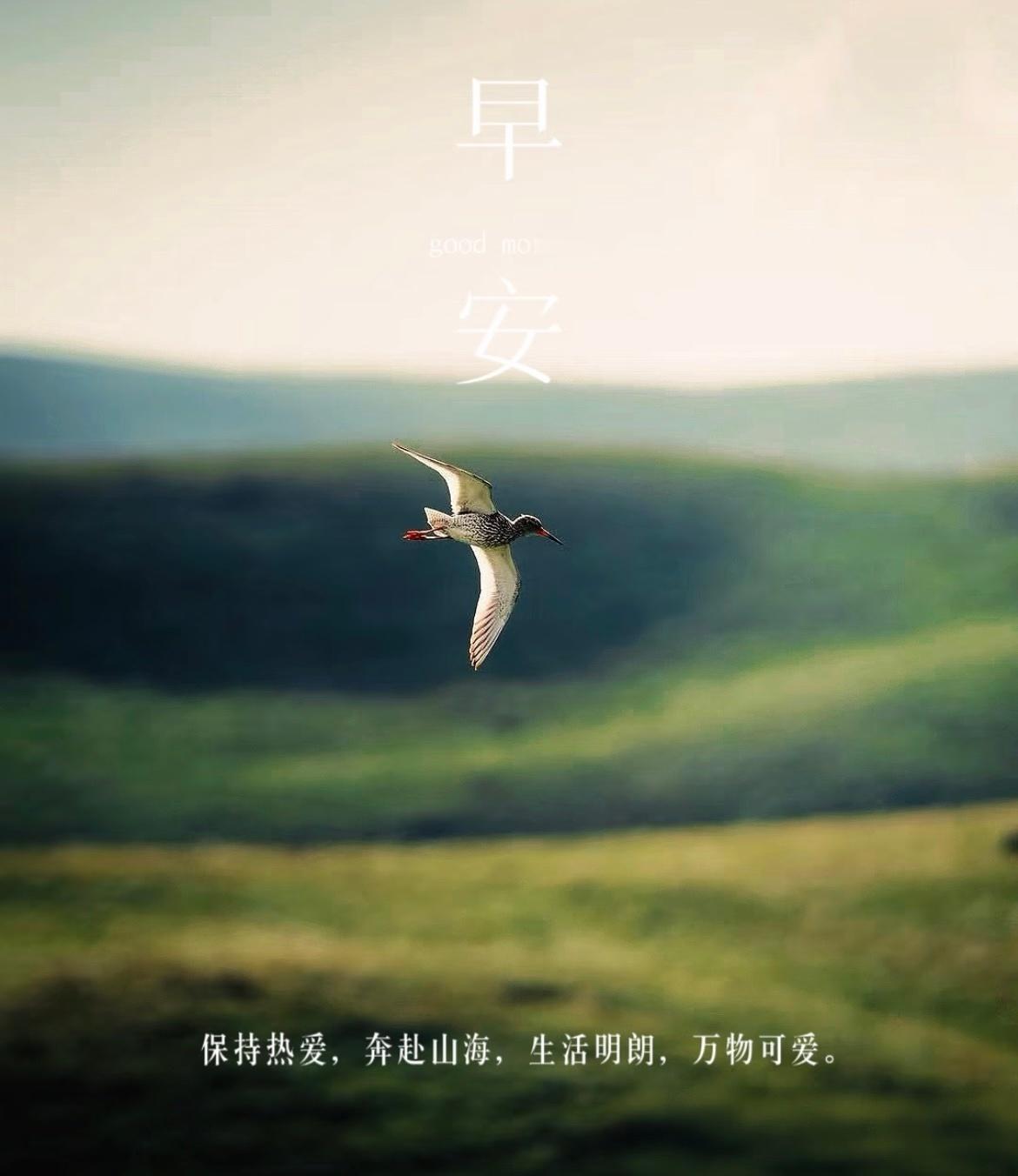 早安早安珍惜每个瞬间，生活之美藏在细节里，用心便见光。早上好呀～