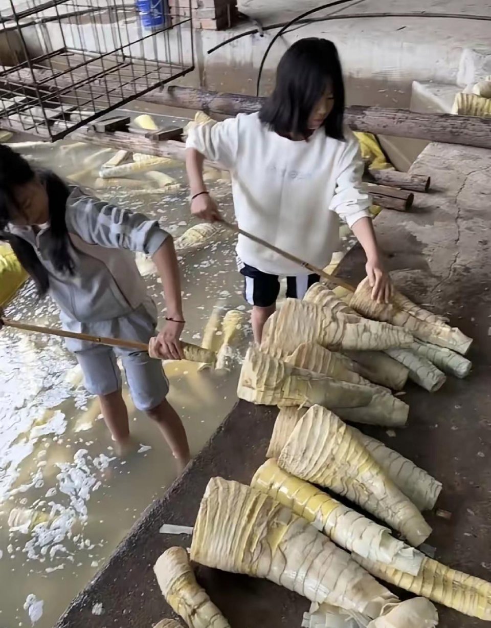 不要告诉我，螺蛳粉里面的酸笋是这样来的。