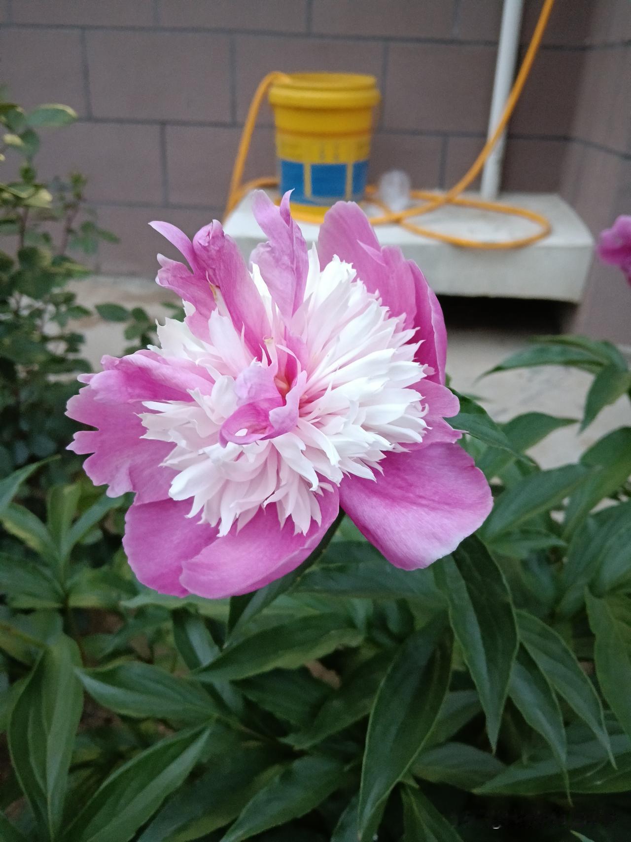 1，酒后大睡.——是贫穷2，酒后大闹——是缺爱3，酒后大哭——是辛苦4，酒