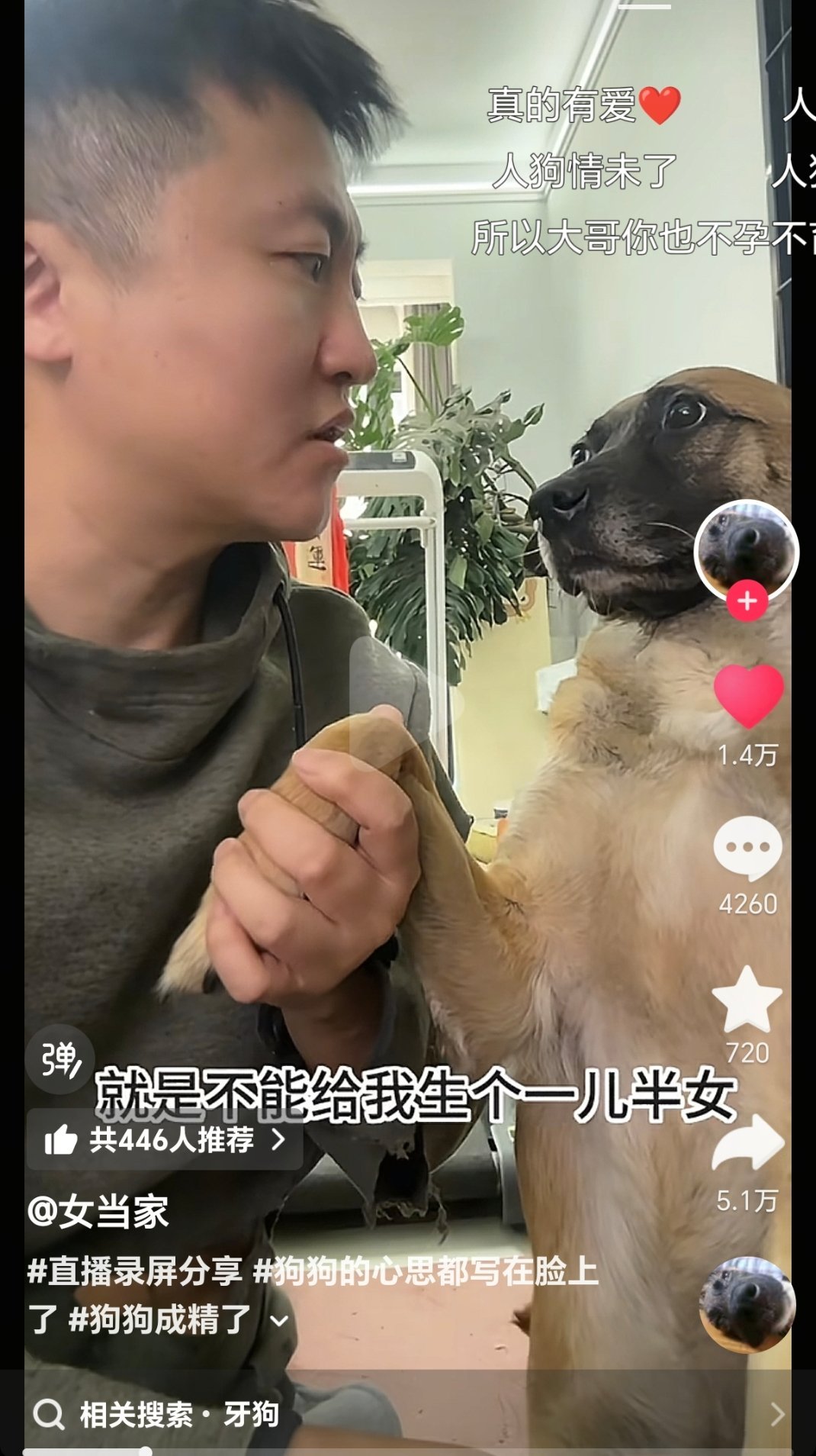 看起来确实挺遗憾的。