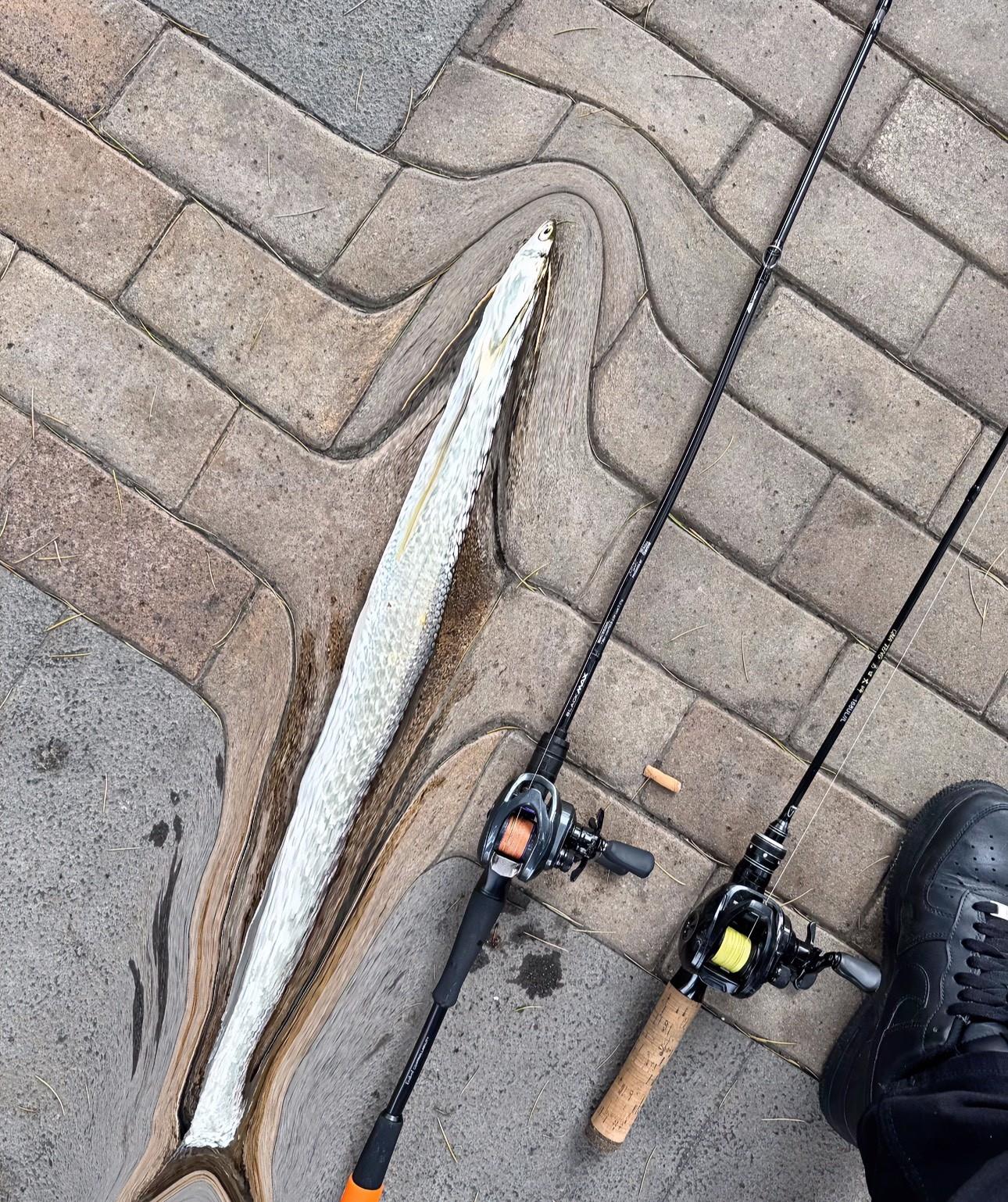 解锁巨物，看懂掌声