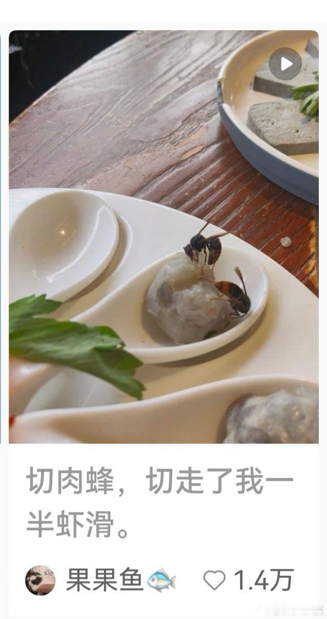 大自然的馈赠