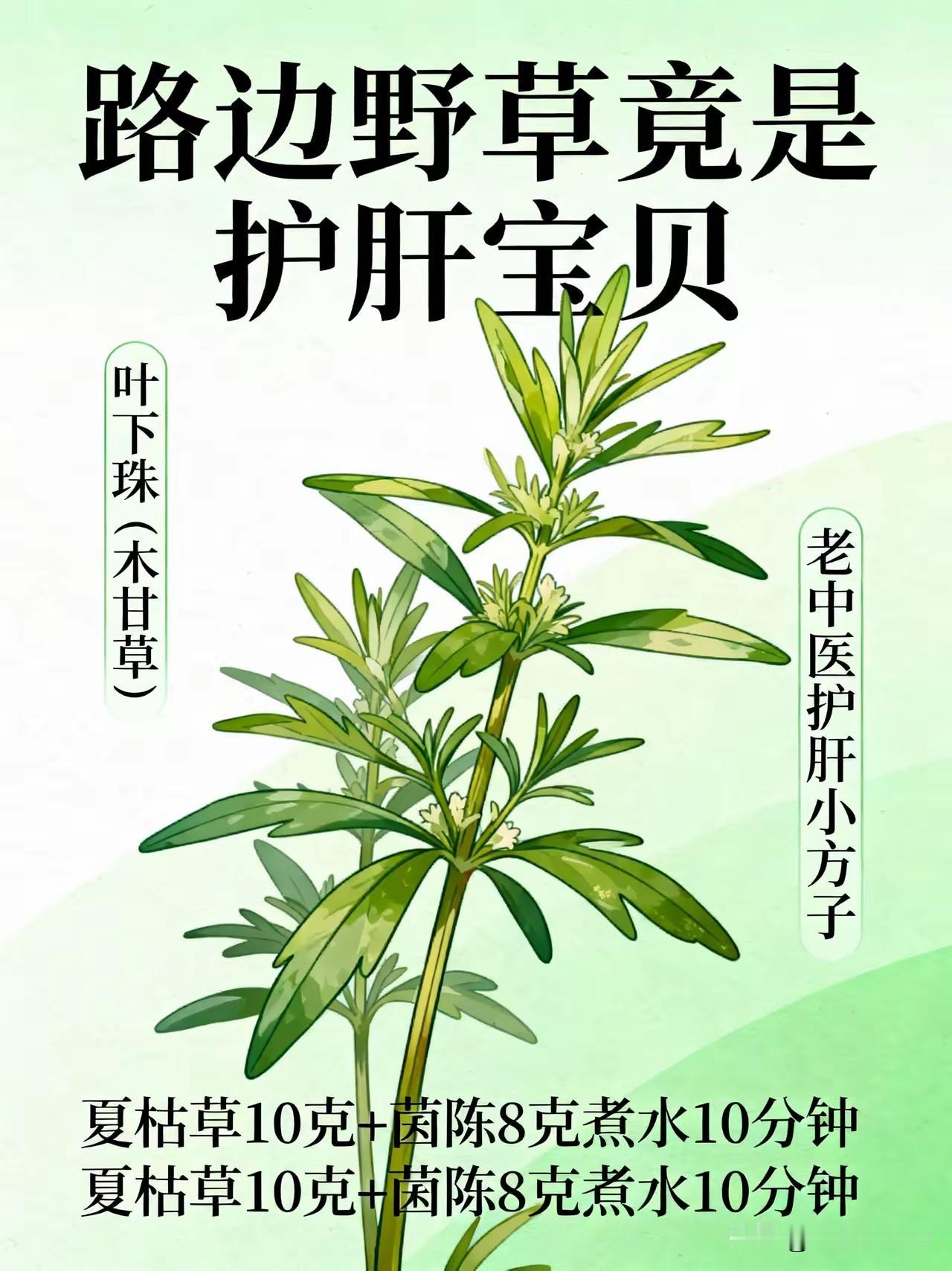 脂肪肝、酒精肝、肝硬化，都不是绝症！一个不花钱的护肝方，让肝脏干干净净！藏在路