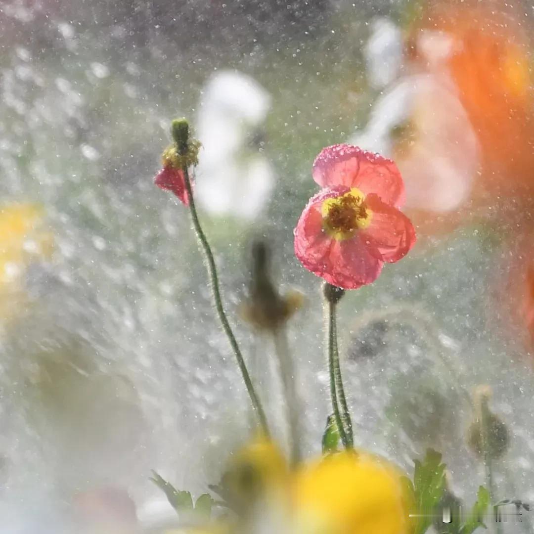 男人真正爱上一个女人才有的狼性动作男人真正爱上一个女人才有的狼性动作：