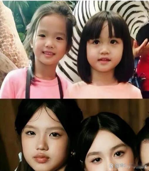 明明小时候长得一点都不像，长大了反而像双胞胎一般，钟丽缇的基因真强大！