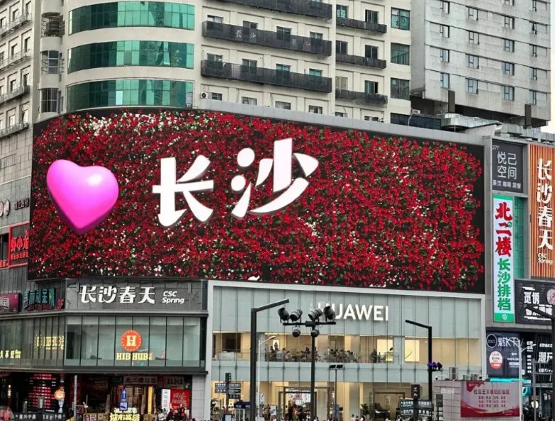 去过很多城市，却没去过长沙。2029年全运会申办，宁波，合肥没干过长沙，我不意