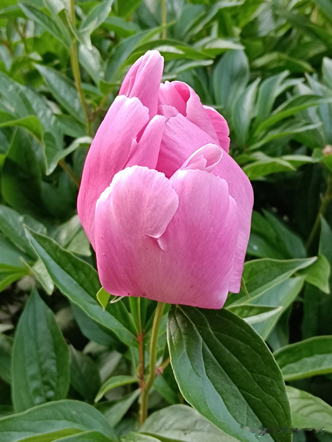 当代人十大清醒认知越早明白越少吃亏1、钱不借，情不欠，人心最经不起试探；