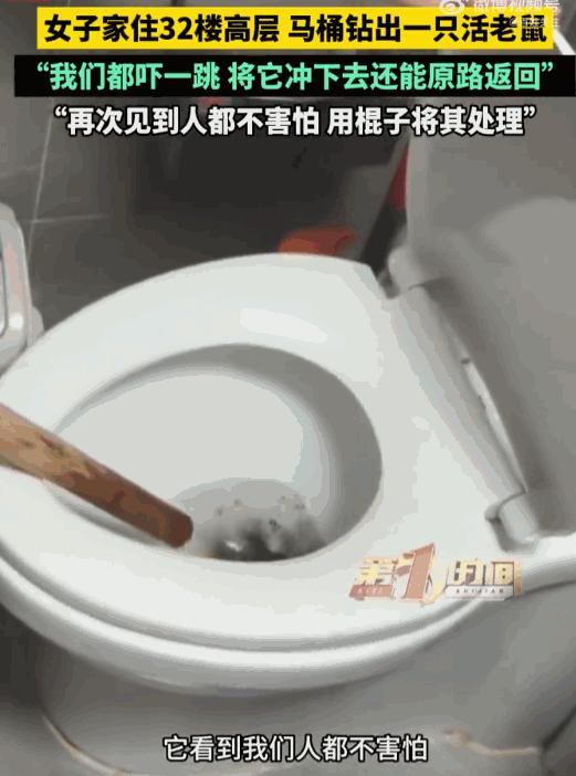 魂都吓飞了！江苏丹阳，住在32楼高层的女子，一大早清晨掀开卫生间马桶盖，差点被眼