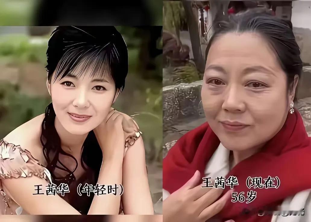 年轻的时候王茜华清秀迷人，端庄温婉年轻的时候陈红清秀迷人，端庄温婉年轻的时候